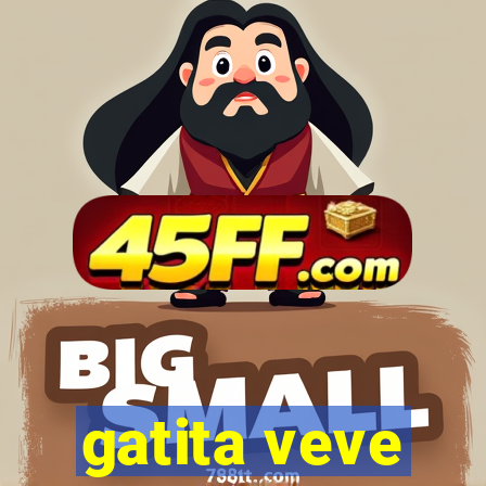 gatita veve